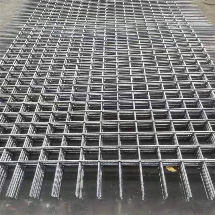 1696832537316515.jpg 1696832537316515.jpg